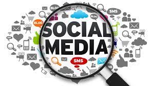 Seo Expert in Kochi-Our Skills