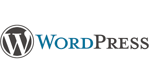 Seo Expert in Kochi-Our Skills